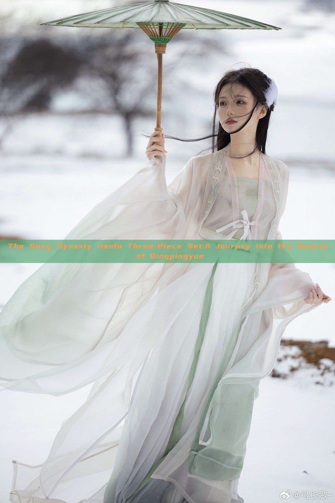 The Song Dynasty Hanfu Three-Piece Set:A Journey into the Beauty of Qingpingyue The Song Dynasty Hanfu Three-Piece Set:A Journey into the Beauty of Qingpingyue