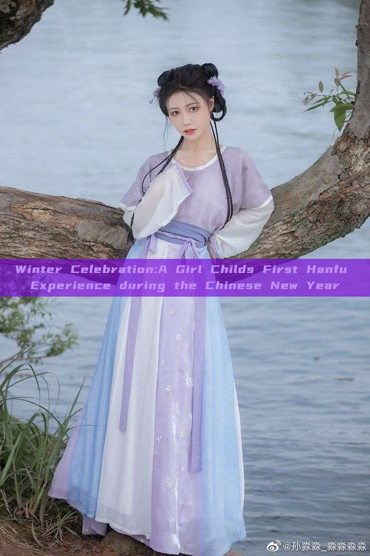 Winter Celebration:A Girl Childs First Hanfu Experience during the Chinese New Year Winter Celebration:A Girl Childs First Hanfu Experience during the Chinese New Year
