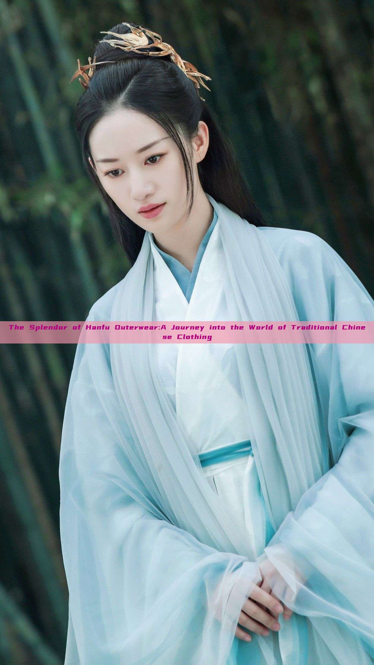 The Splendor of Hanfu Outerwear:A Journey into the World of Traditional Chinese Clothing The Splendor of Hanfu Outerwear:A Journey into the World of Traditional Chinese Clothing