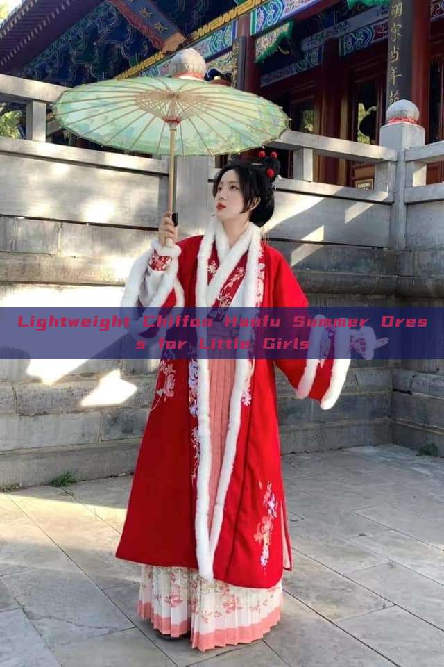 Lightweight Chiffon Hanfu Summer Dress for Little Girls Lightweight Chiffon Hanfu Summer Dress for Little Girls