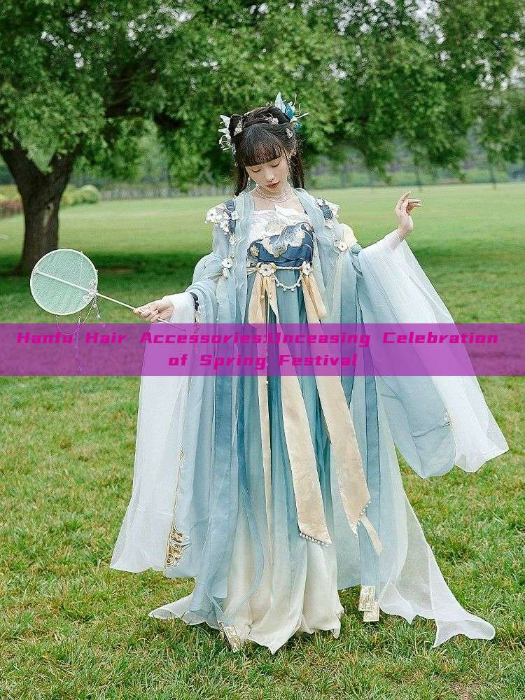 Hanfu Hair Accessories:Unceasing Celebration of Spring Festival Hanfu Hair Accessories:Unceasing Celebration of Spring Festival