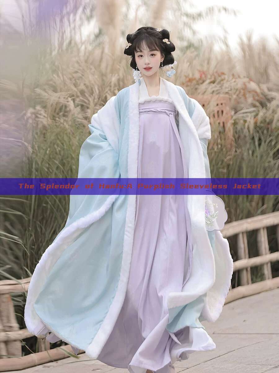 The Splendor of Hanfu:A Purplish Sleeveless Jacket The Splendor of Hanfu:A Purplish Sleeveless Jacket