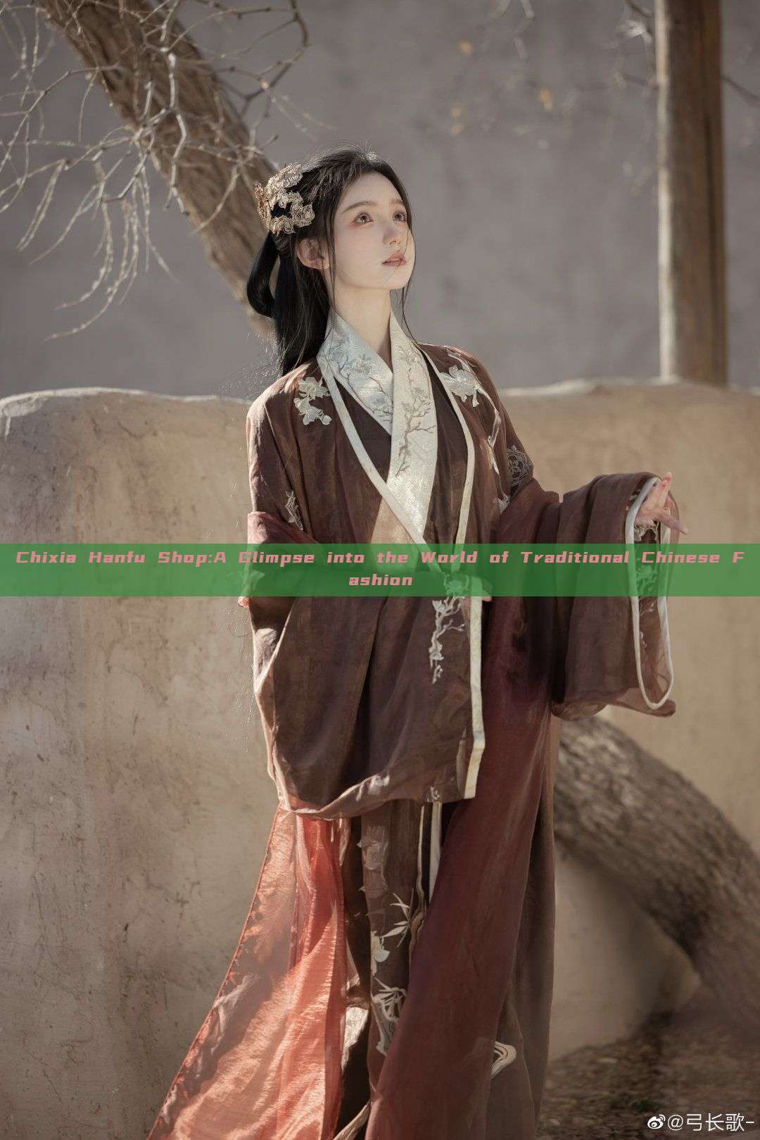 Chixia Hanfu Shop:A Glimpse into the World of Traditional Chinese Fashion