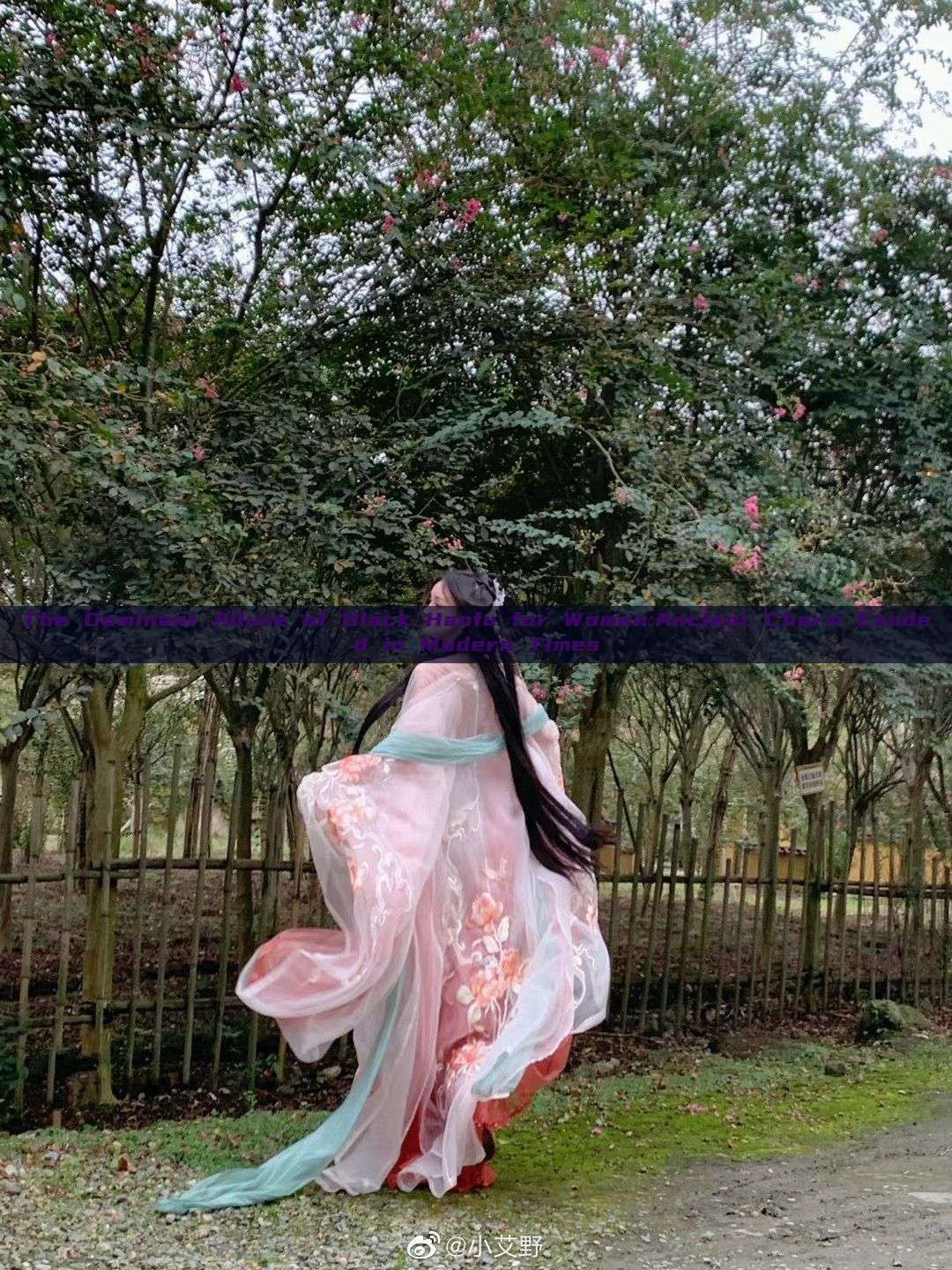 The Dominant Allure of Black Hanfu for Women:Ancient Charm Exuded in Modern Times The Dominant Allure of Black Hanfu for Women:Ancient Charm Exuded in Modern Times