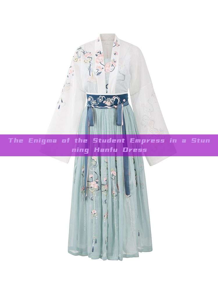 The Enigma of the Student Empress in a Stunning Hanfu Dress The Enigma of the Student Empress in a Stunning Hanfu Dress