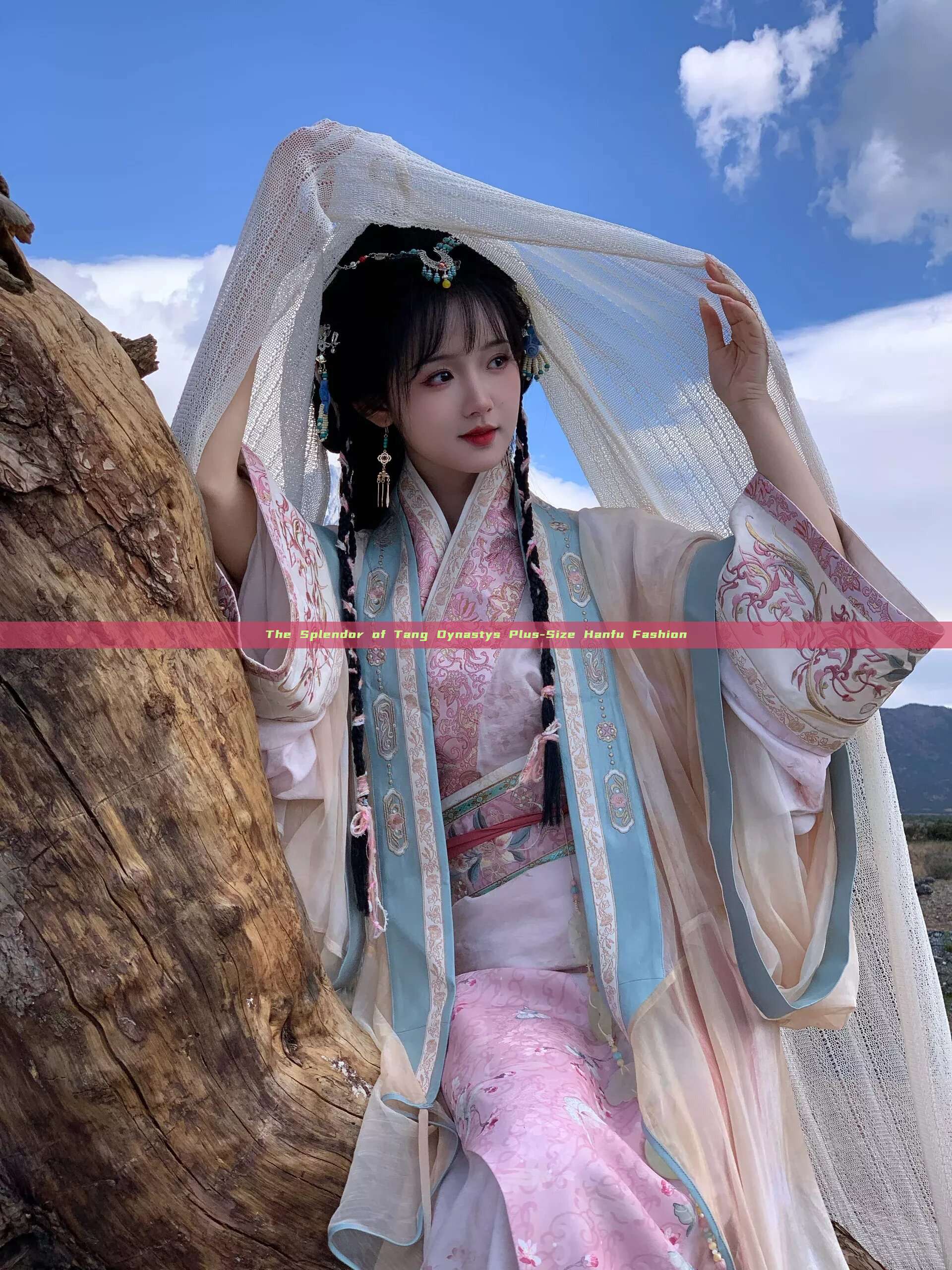 The Splendor of Tang Dynastys Plus-Size Hanfu Fashion The Splendor of Tang Dynastys Plus-Size Hanfu Fashion