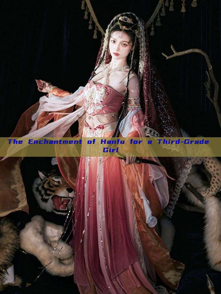 The Enchantment of Hanfu for a Third-Grade Girl The Enchantment of Hanfu for a Third-Grade Girl