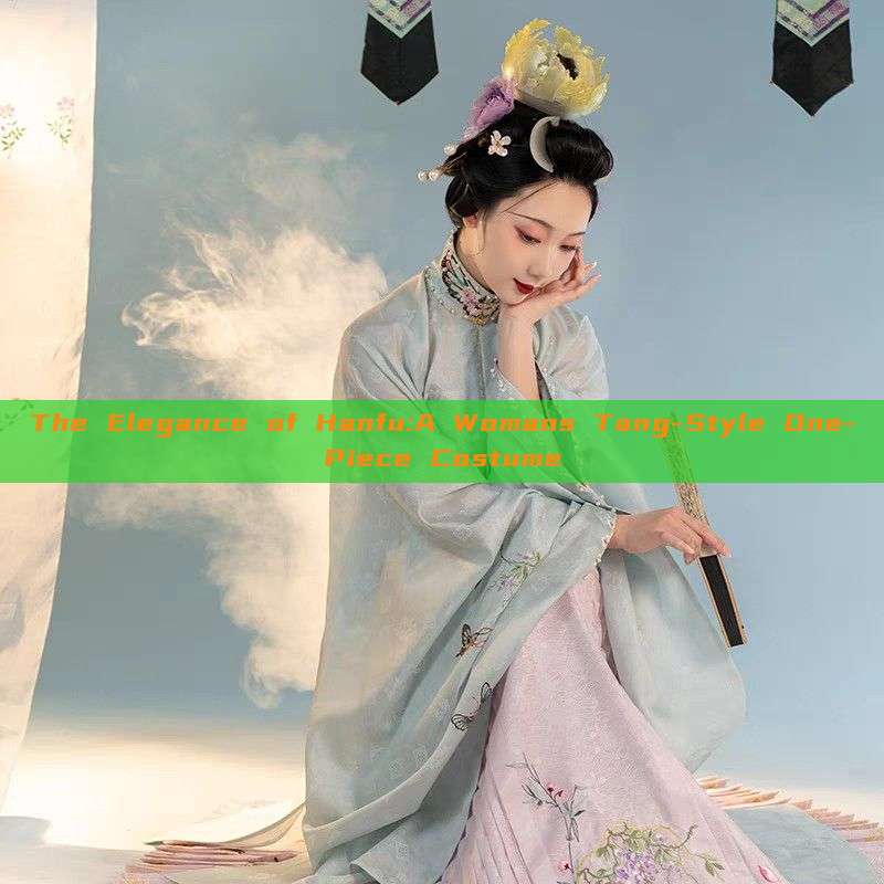 The Elegance of Hanfu:A Womans Tang-Style One-Piece Costume The Elegance of Hanfu:A Womans Tang-Style One-Piece Costume
