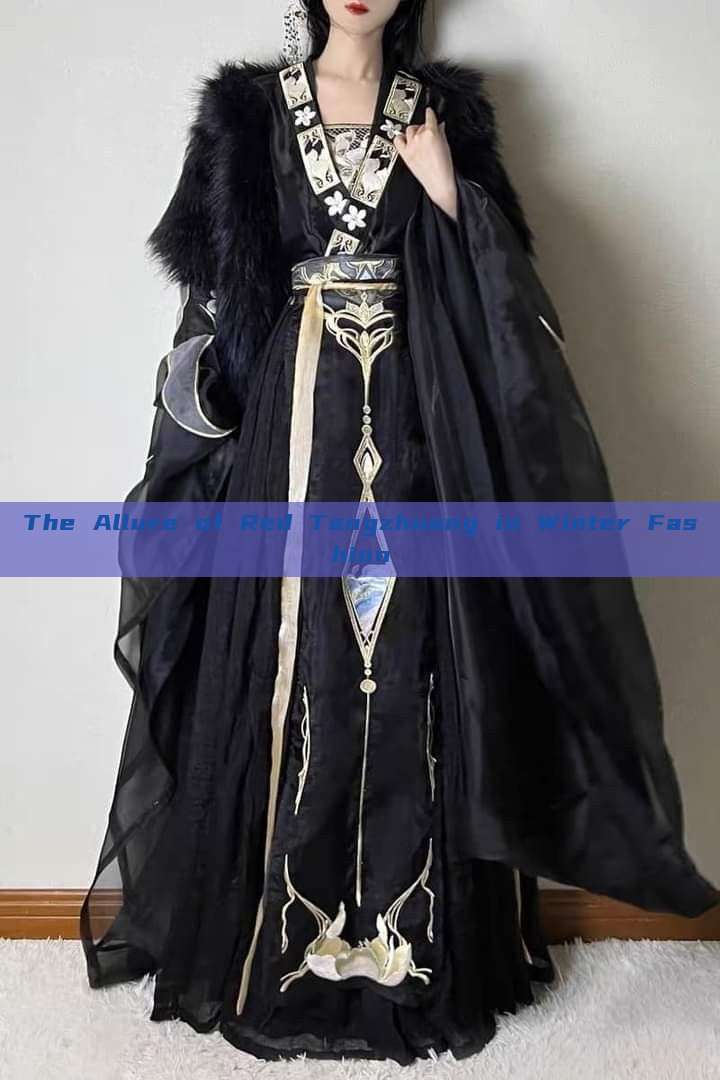 The Allure of Red Tangzhuang in Winter Fashion The Allure of Red Tangzhuang in Winter Fashion