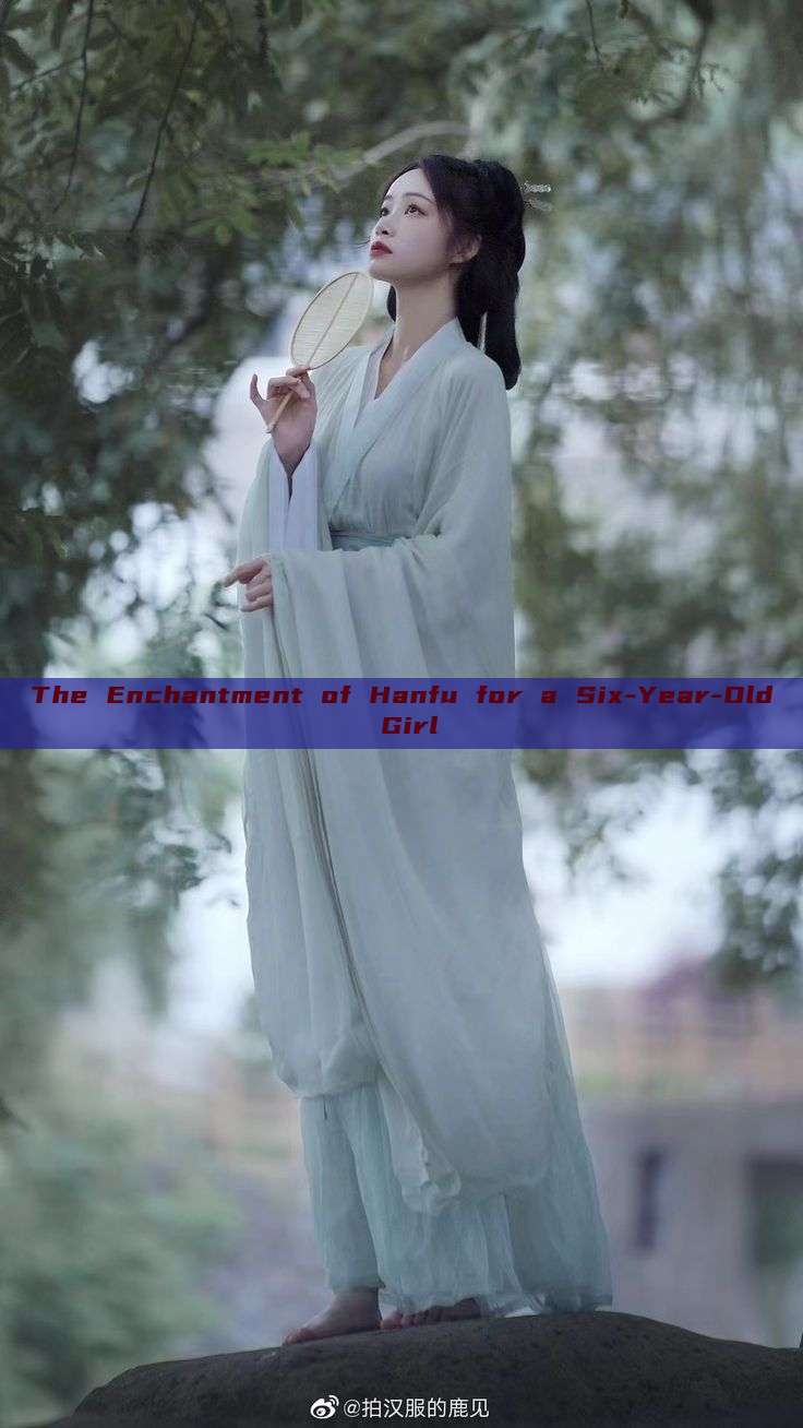The Enchantment of Hanfu for a Six-Year-Old Girl The Enchantment of Hanfu for a Six-Year-Old Girl