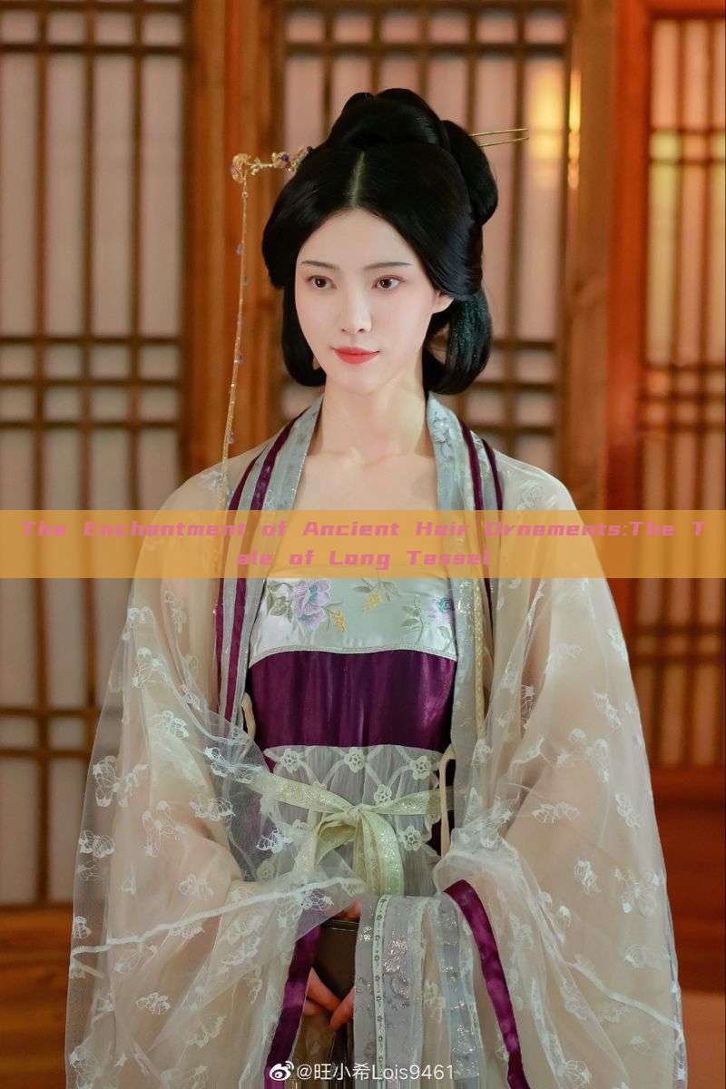 The Enchantment of Ancient Hair Ornaments:The Tale of Long Tassel The Enchantment of Ancient Hair Ornaments:The Tale of Long Tassel