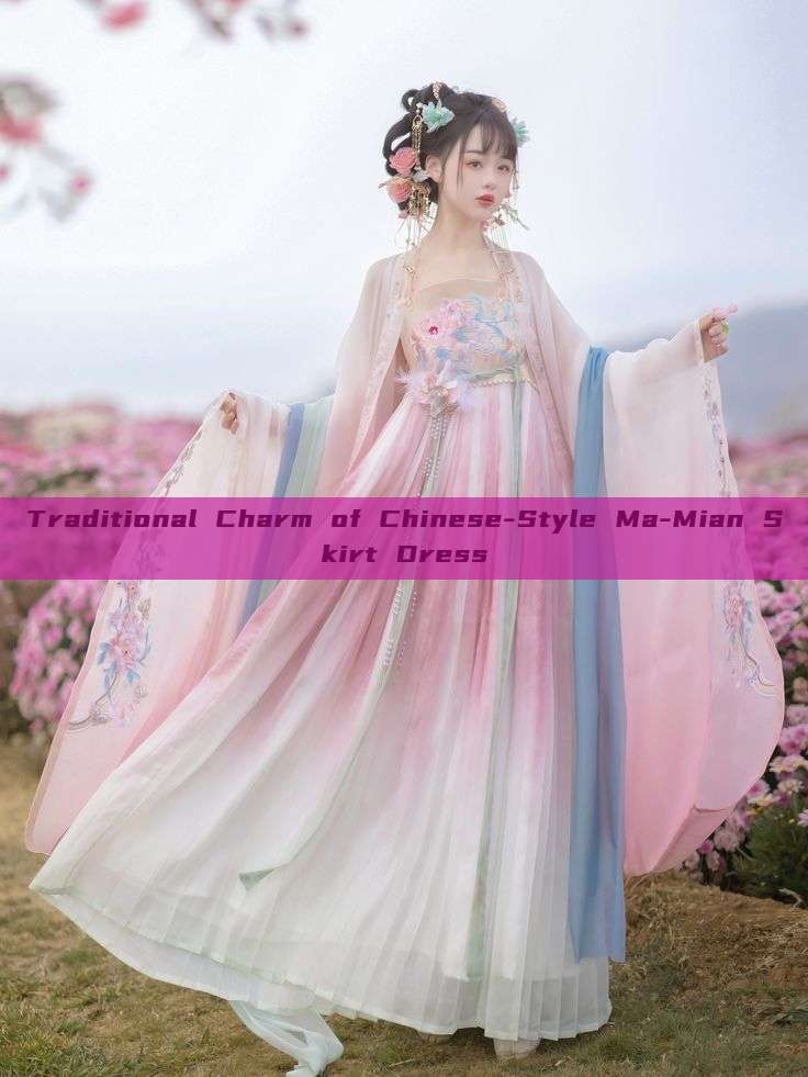 Traditional Charm of Chinese-Style Ma-Mian Skirt Dress Traditional Charm of Chinese-Style Ma-Mian Skirt Dress