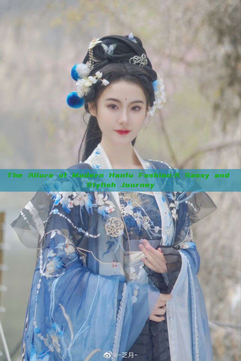 The Allure of Modern Hanfu Fashion:A Sassy and Stylish Journey The Allure of Modern Hanfu Fashion:A Sassy and Stylish Journey