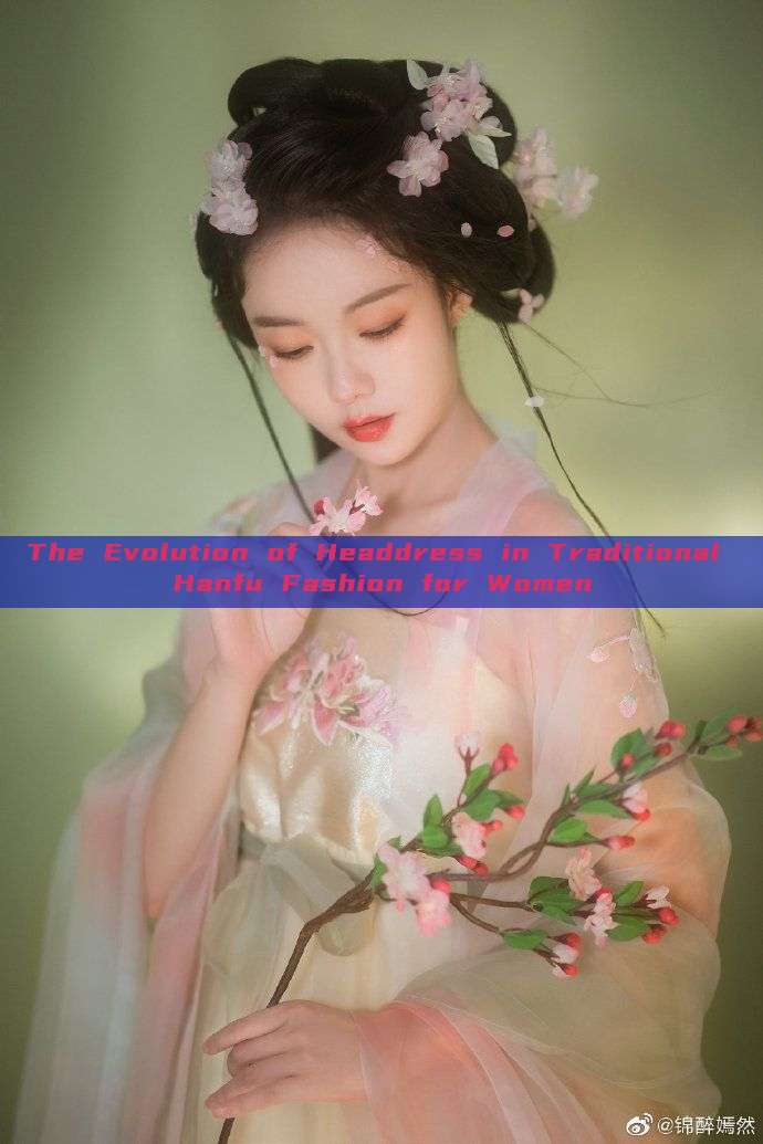 The Evolution of Headdress in Traditional Hanfu Fashion for Women The Evolution of Headdress in Traditional Hanfu Fashion for Women