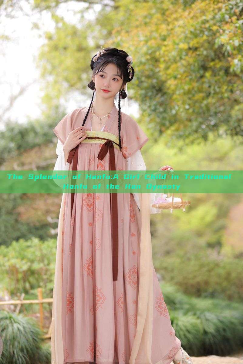 The Splendor of Hanfu:A Girl Child in Traditional Hanfu of the Han Dynasty The Splendor of Hanfu:A Girl Child in Traditional Hanfu of the Han Dynasty