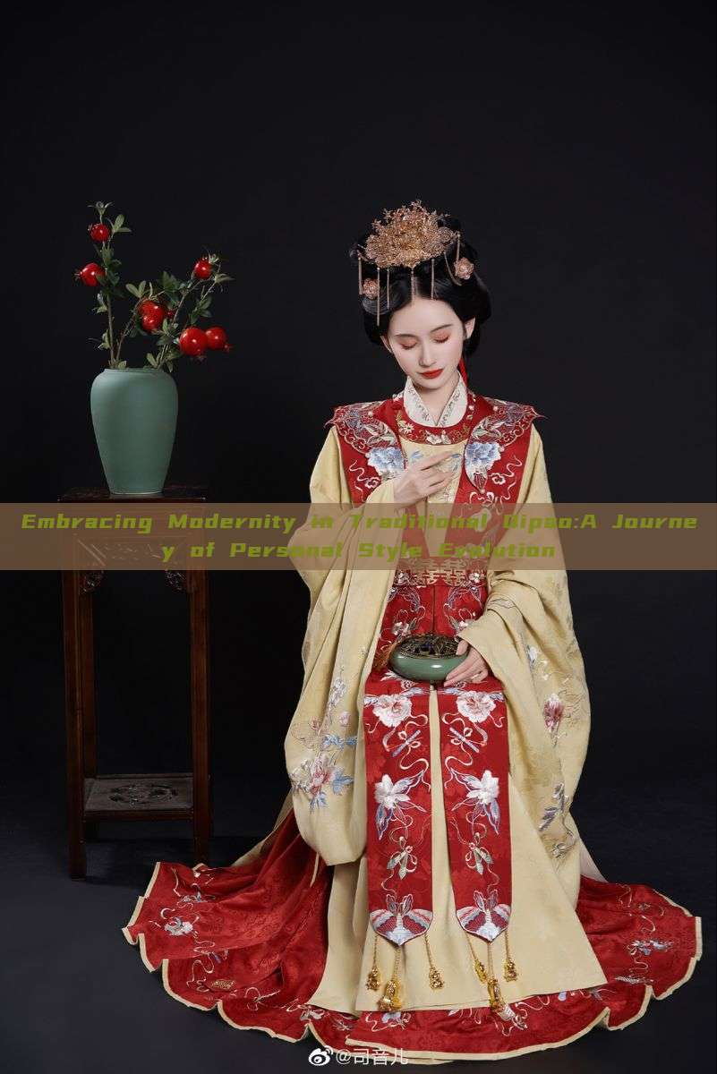 Embracing Modernity in Traditional Qipao:A Journey of Personal Style Evolution Embracing Modernity in Traditional Qipao:A Journey of Personal Style Evolution
