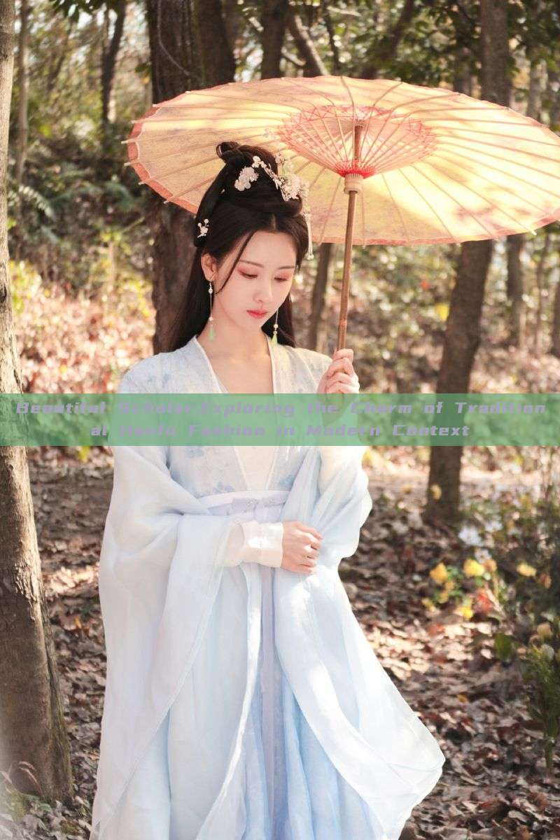 Beautiful Scholar:Exploring the Charm of Traditional Hanfu Fashion in Modern Context Beautiful Scholar:Exploring the Charm of Traditional Hanfu Fashion in Modern Context