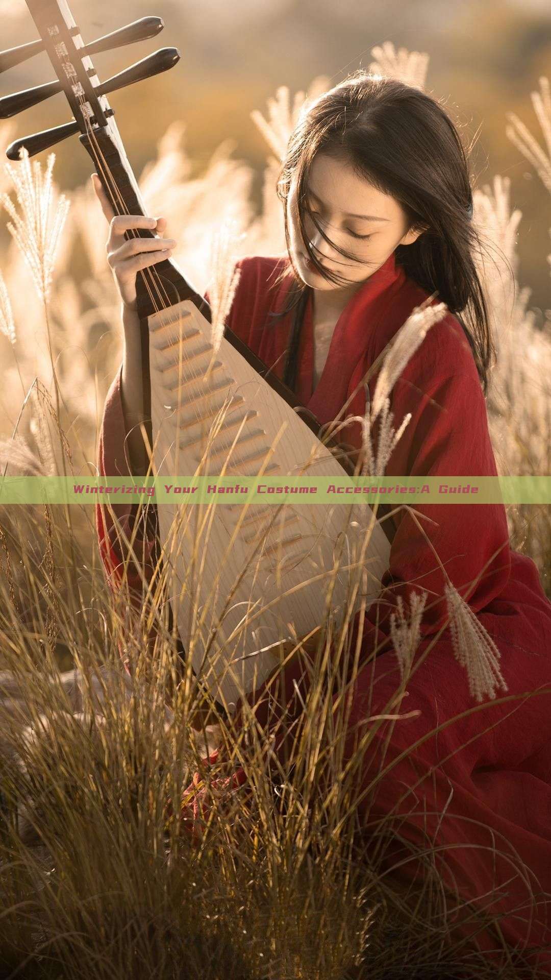 Winterizing Your Hanfu Costume Accessories:A Guide