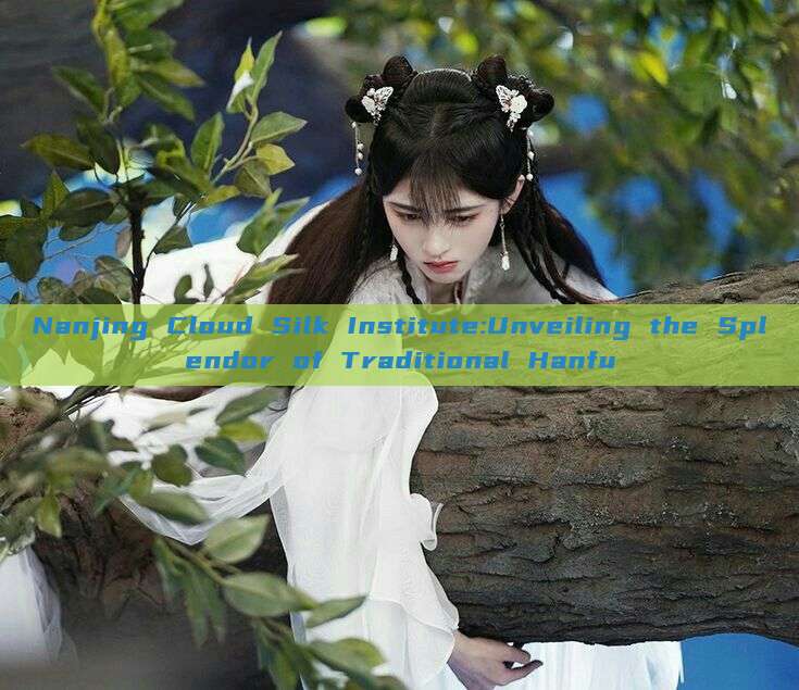 Nanjing Cloud Silk Institute:Unveiling the Splendor of Traditional Hanfu Nanjing Cloud Silk Institute:Unveiling the Splendor of Traditional Hanfu