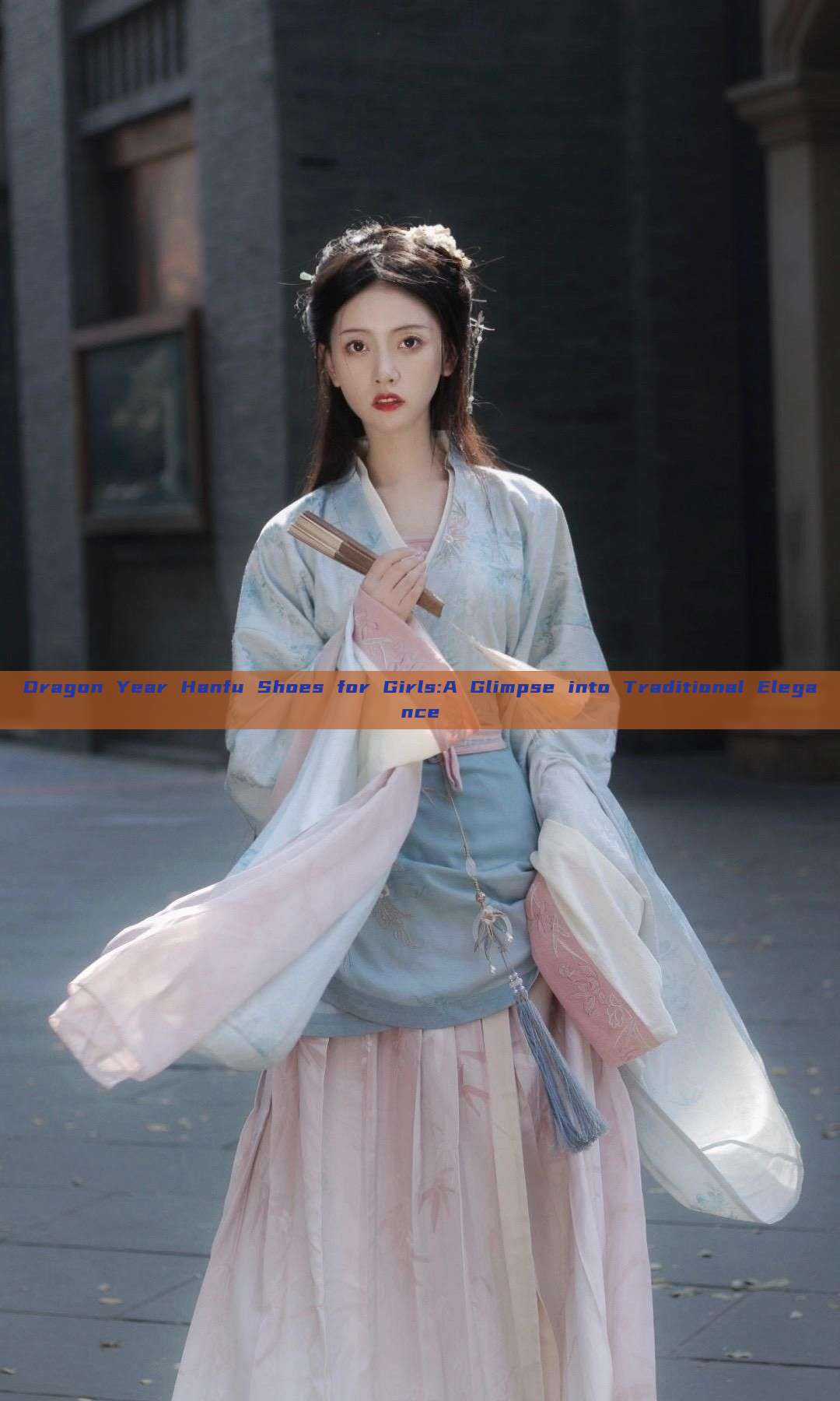 Dragon Year Hanfu Shoes for Girls:A Glimpse into Traditional Elegance Dragon Year Hanfu Shoes for Girls:A Glimpse into Traditional Elegance