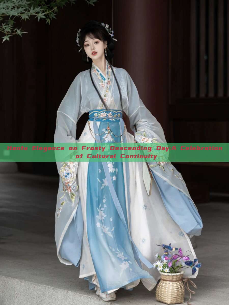 Hanfu Elegance on Frosty Descending Day:A Celebration of Cultural Continuity Hanfu Elegance on Frosty Descending Day:A Celebration of Cultural Continuity