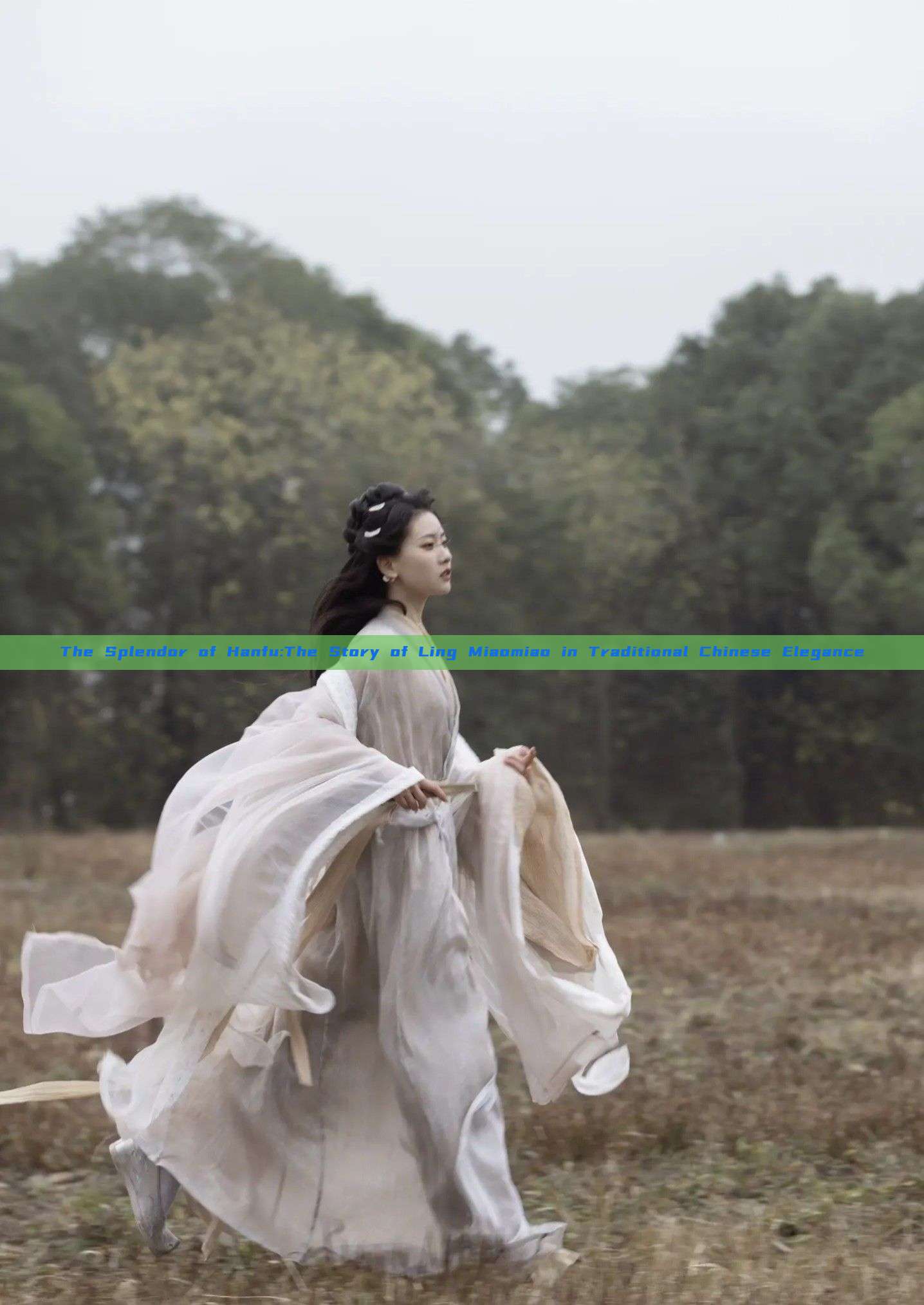 The Splendor of Hanfu:The Story of Ling Miaomiao in Traditional Chinese Elegance