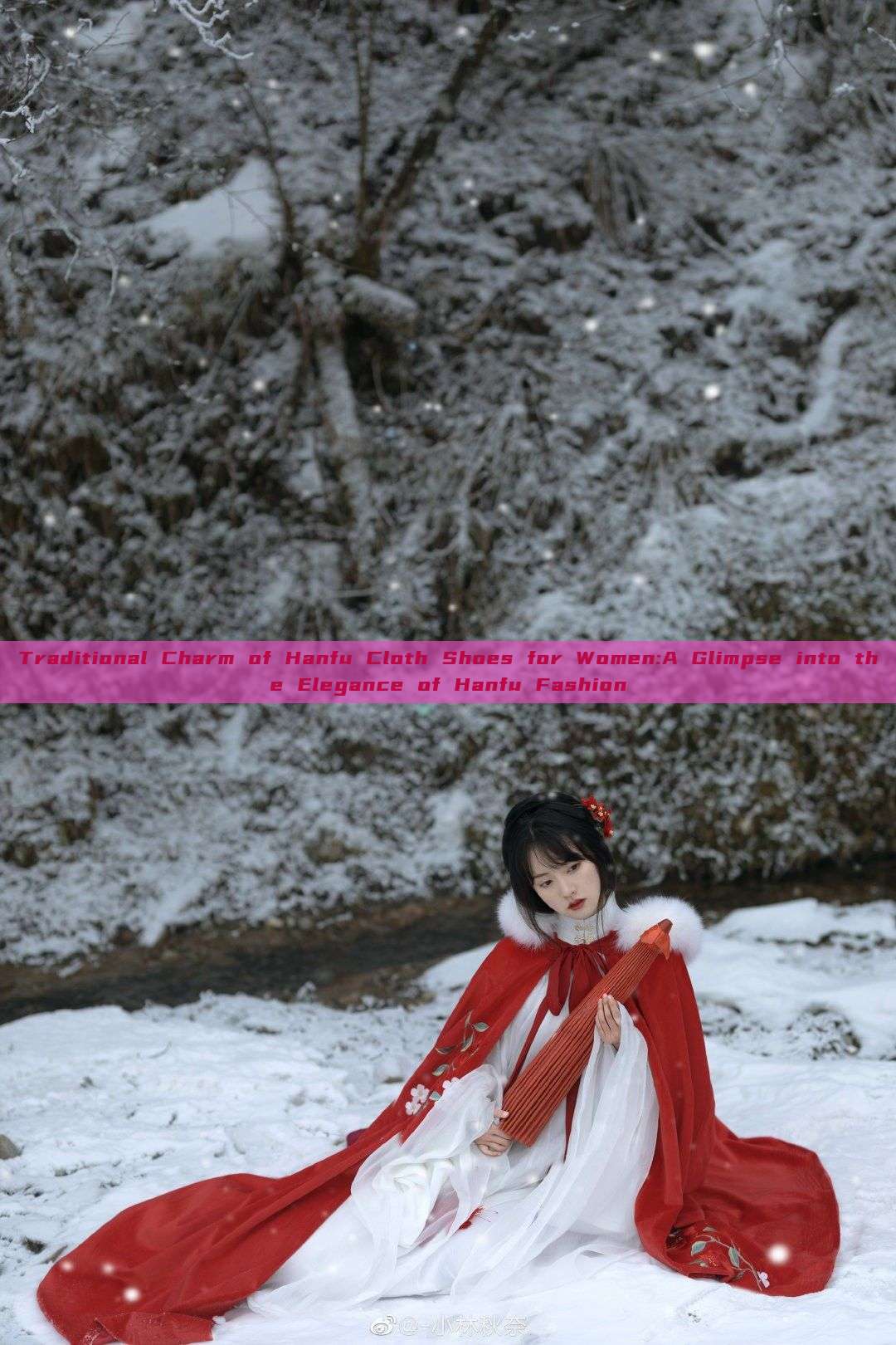 Traditional Charm of Hanfu Cloth Shoes for Women:A Glimpse into the Elegance of Hanfu Fashion Traditional Charm of Hanfu Cloth Shoes for Women:A Glimpse into the Elegance of Hanfu Fashion