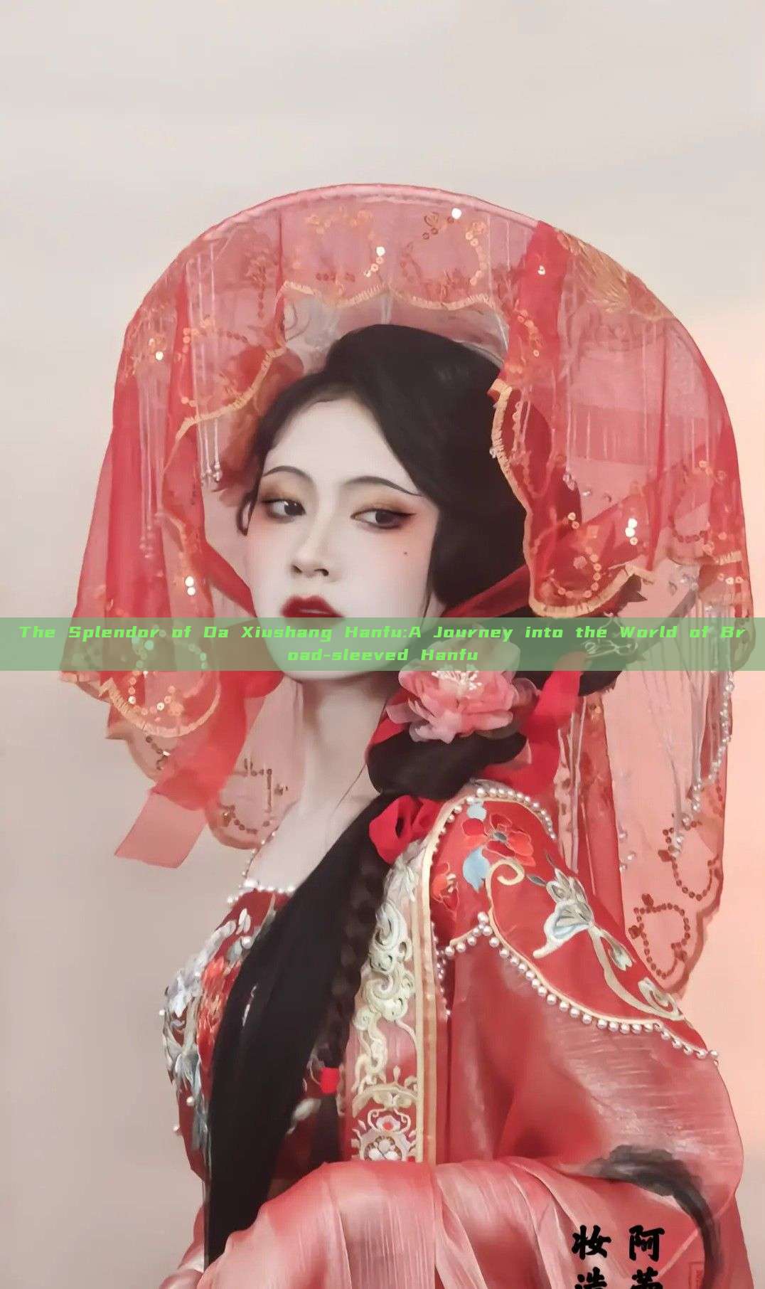 The Splendor of Da Xiushang Hanfu:A Journey into the World of Broad-sleeved Hanfu The Splendor of Da Xiushang Hanfu:A Journey into the World of Broad-sleeved Hanfu