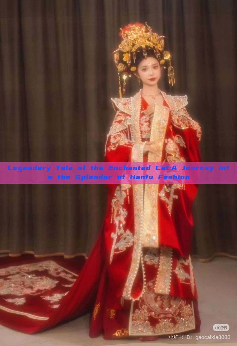 Legendary Tale of the Enchanted Cat:A Journey into the Splendor of Hanfu Fashion Legendary Tale of the Enchanted Cat:A Journey into the Splendor of Hanfu Fashion