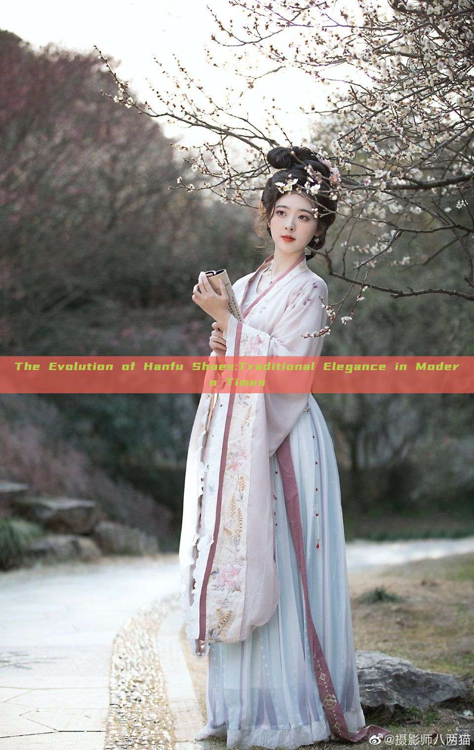 The Evolution of Hanfu Shoes:Traditional Elegance in Modern Times The Evolution of Hanfu Shoes:Traditional Elegance in Modern Times