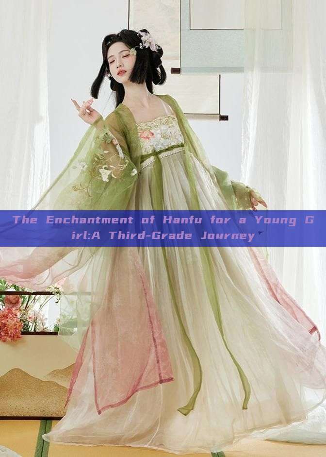The Enchantment of Hanfu for a Young Girl:A Third-Grade Journey