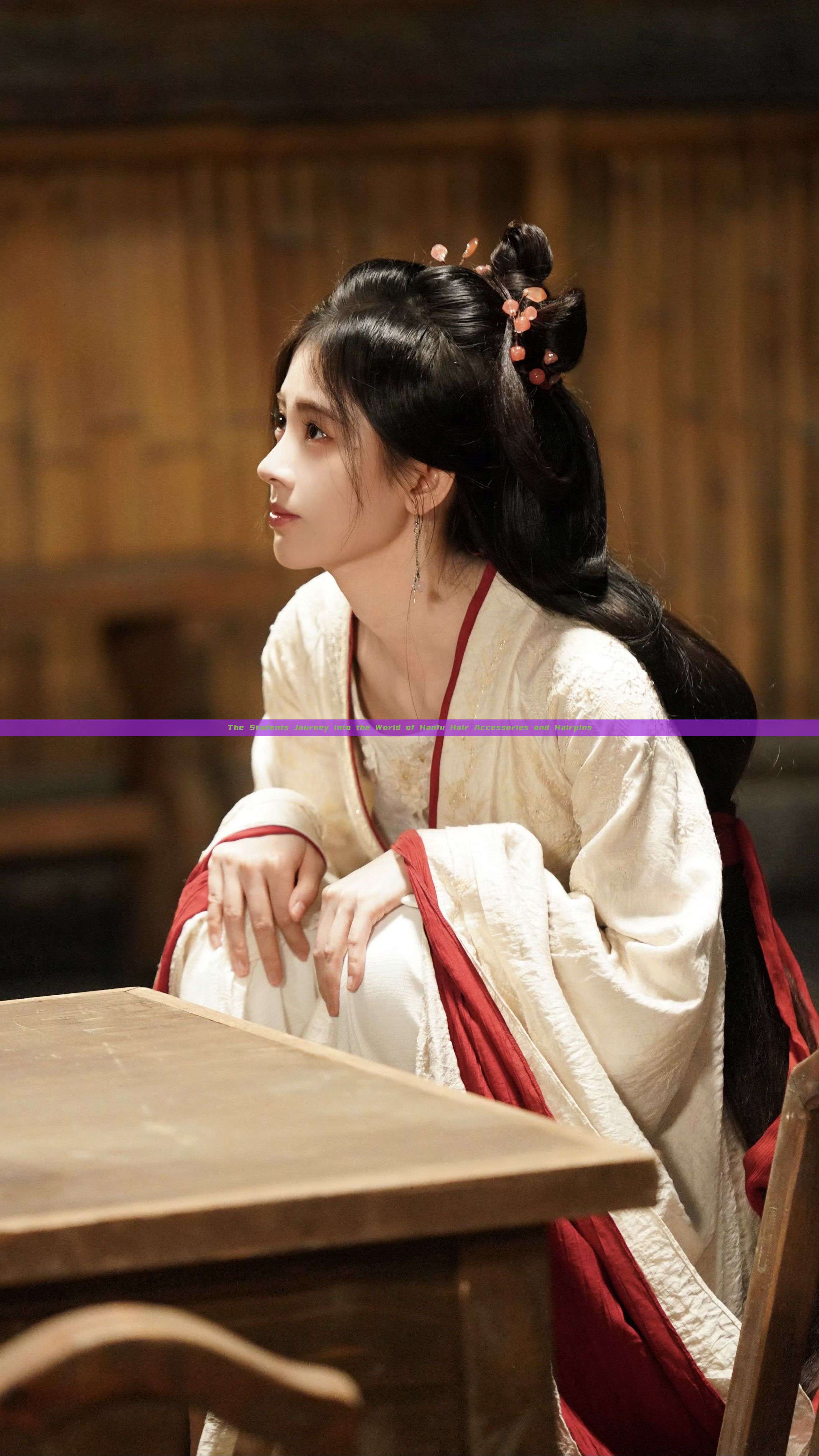 The Students Journey into the World of Hanfu Hair Accessories and Hairpins The Students Journey into the World of Hanfu Hair Accessories and Hairpins