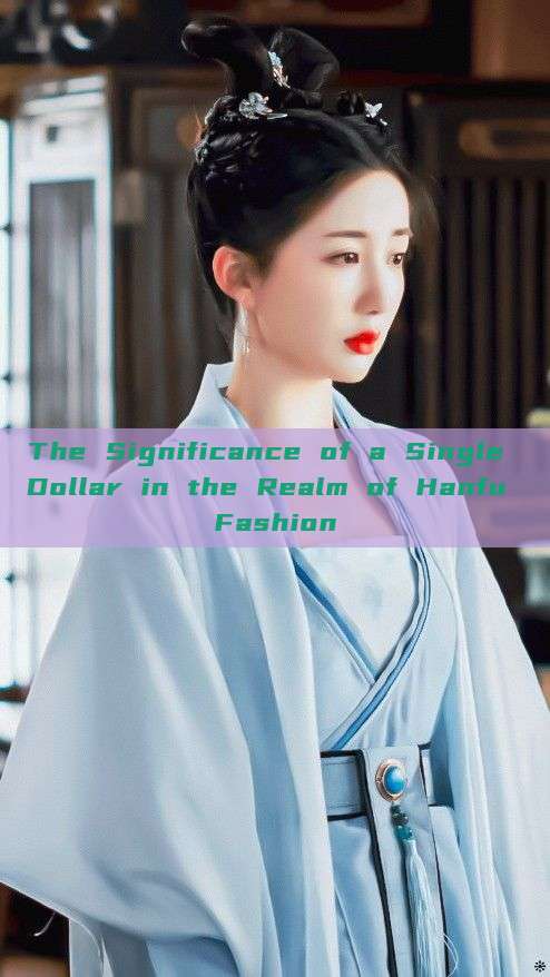 The Significance of a Single Dollar in the Realm of Hanfu Fashion The Significance of a Single Dollar in the Realm of Hanfu Fashion