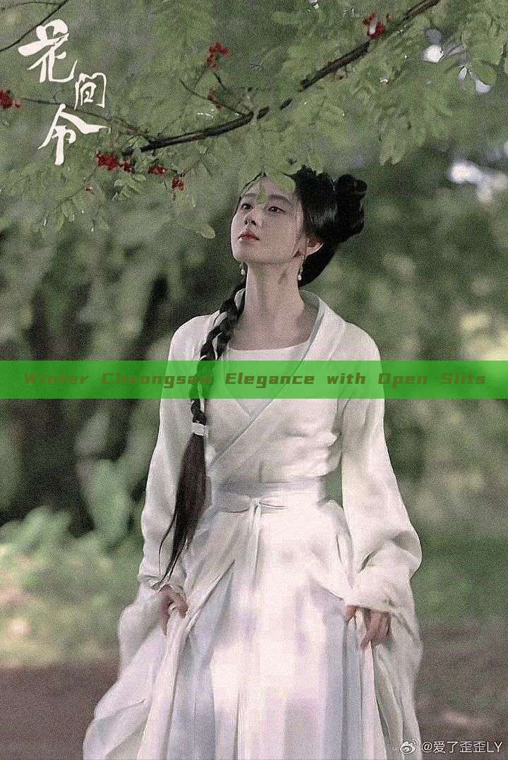 Winter Cheongsam Elegance with Open Slits Winter Cheongsam Elegance with Open Slits