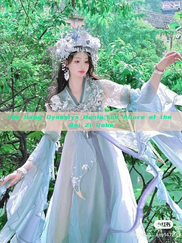 The Song Dynastys Hanfu:The Allure of the Bei Zi Robe The Song Dynastys Hanfu:The Allure of the Bei Zi Robe
