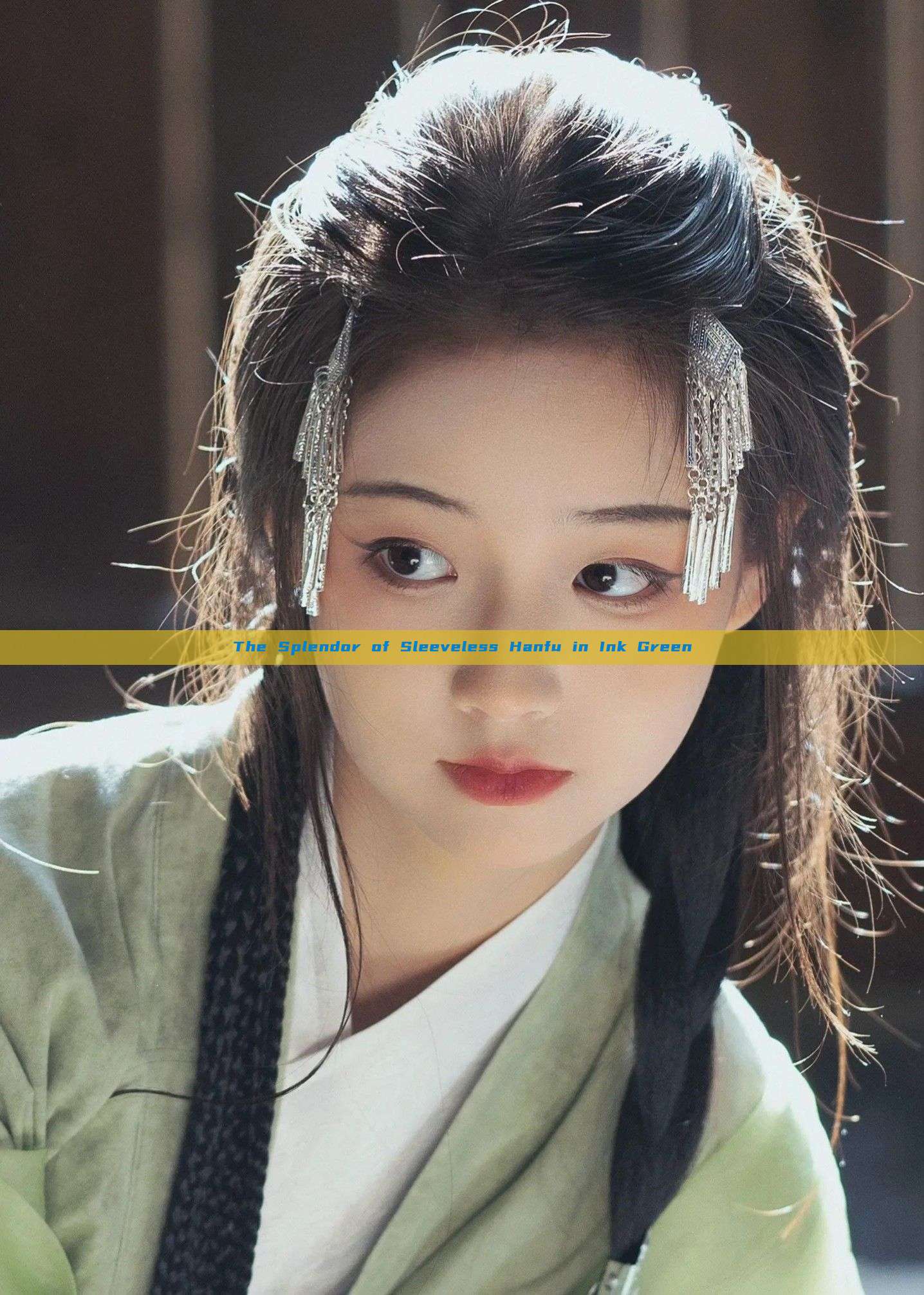The Splendor of Sleeveless Hanfu in Ink Green The Splendor of Sleeveless Hanfu in Ink Green