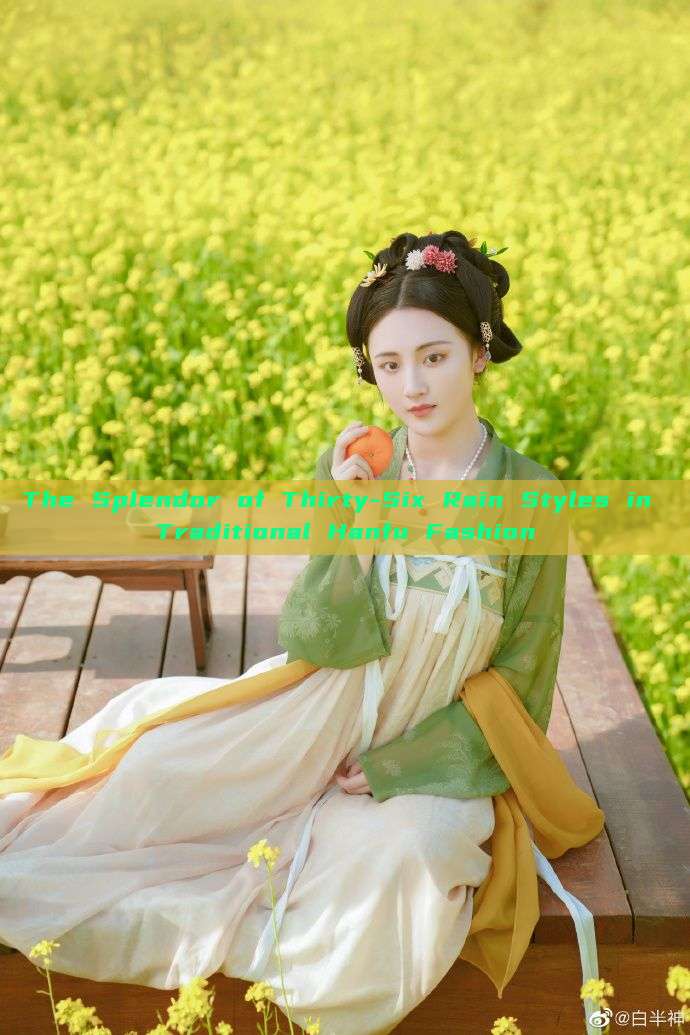 The Splendor of Thirty-Six Rain Styles in Traditional Hanfu Fashion The Splendor of Thirty-Six Rain Styles in Traditional Hanfu Fashion