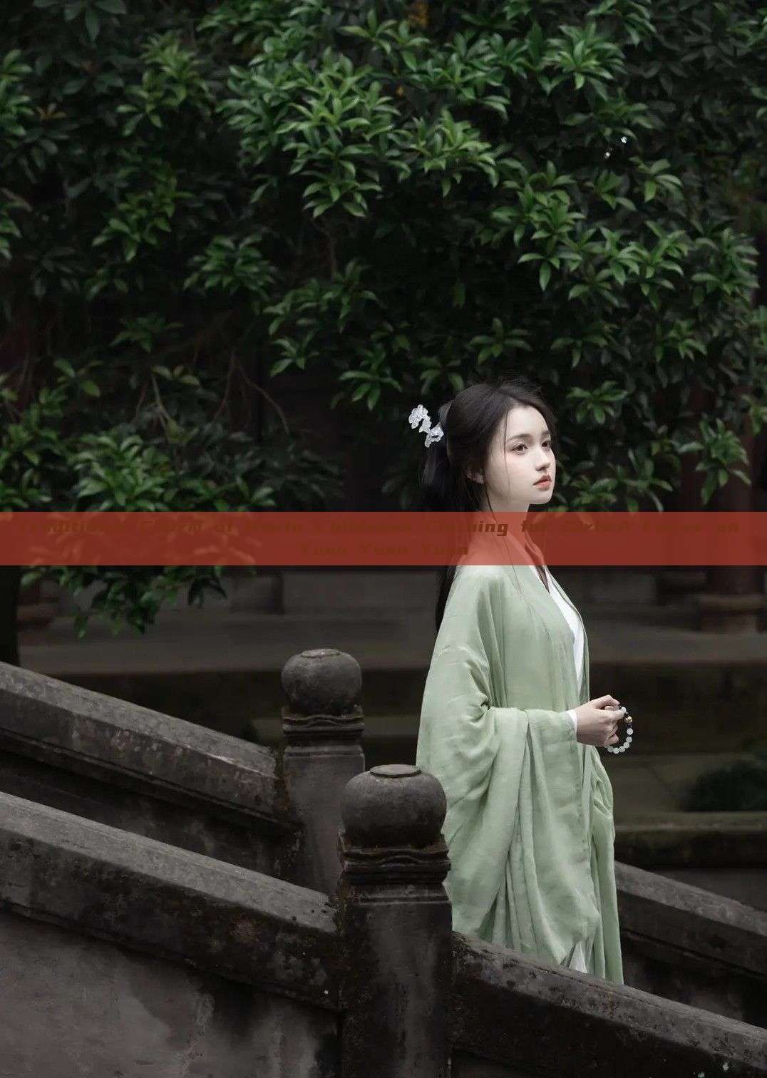 Traditional Charm of Hanfu Childrens Clothing for Girls:A Focus on Yuan Yuan Yuan Traditional Charm of Hanfu Childrens Clothing for Girls:A Focus on Yuan Yuan Yuan