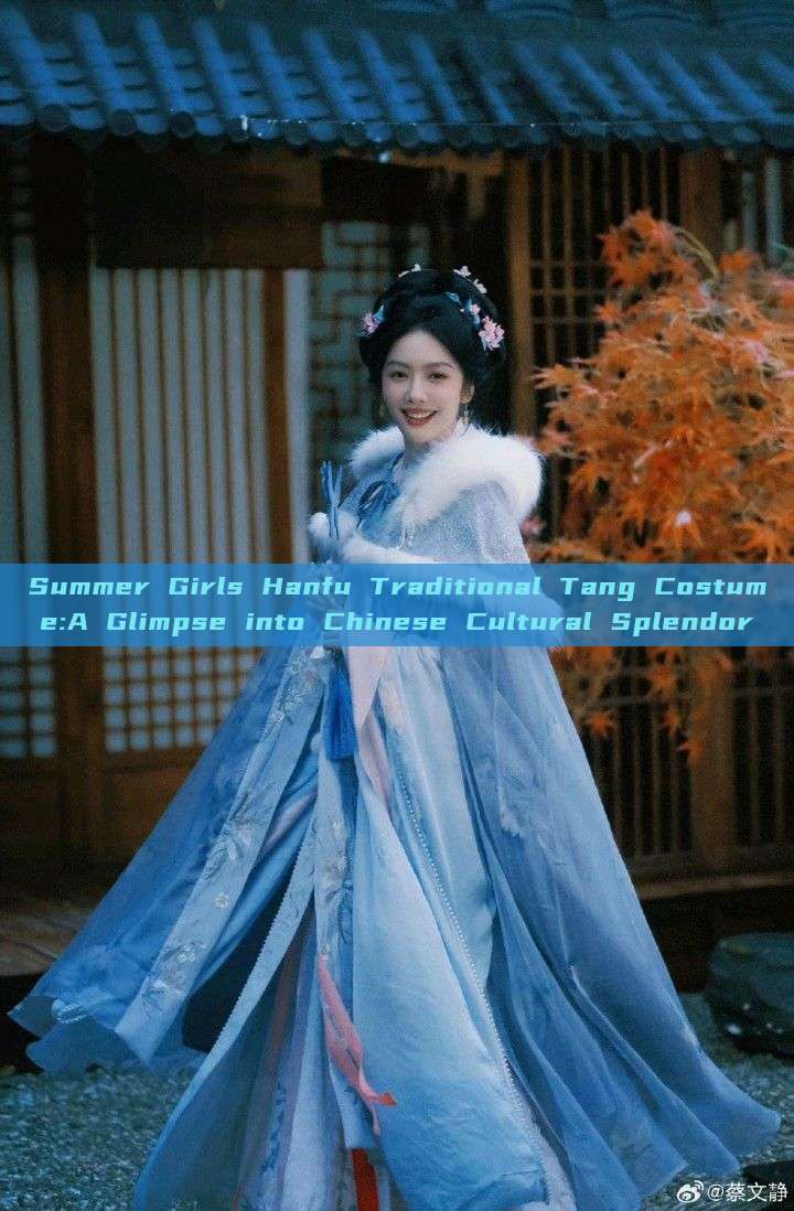 Summer Girls Hanfu Traditional Tang Costume:A Glimpse into Chinese Cultural Splendor Summer Girls Hanfu Traditional Tang Costume:A Glimpse into Chinese Cultural Splendor