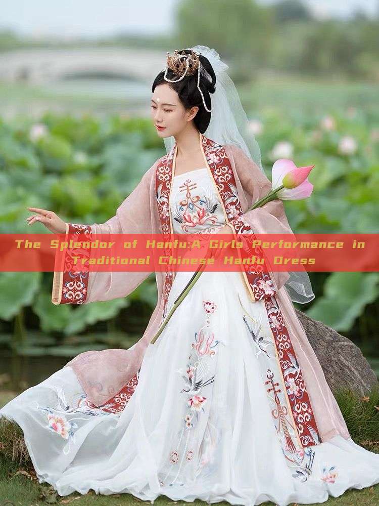 The Splendor of Hanfu:A Girls Performance in Traditional Chinese Hanfu Dress The Splendor of Hanfu:A Girls Performance in Traditional Chinese Hanfu Dress