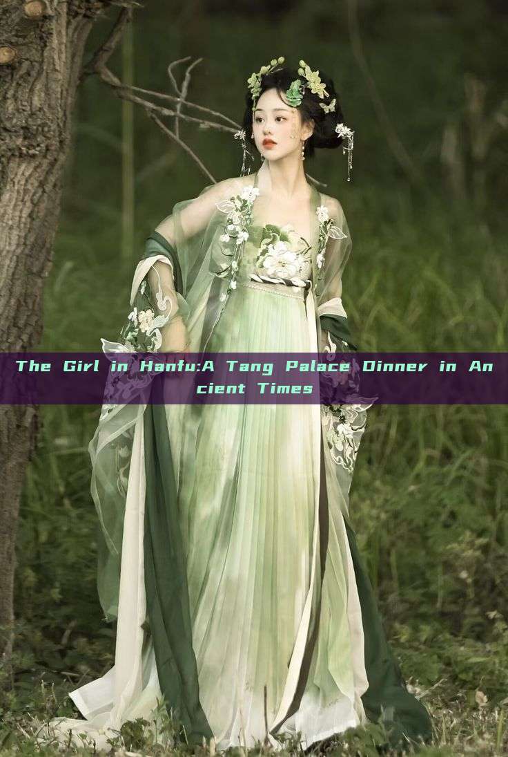 The Girl in Hanfu:A Tang Palace Dinner in Ancient Times The Girl in Hanfu:A Tang Palace Dinner in Ancient Times