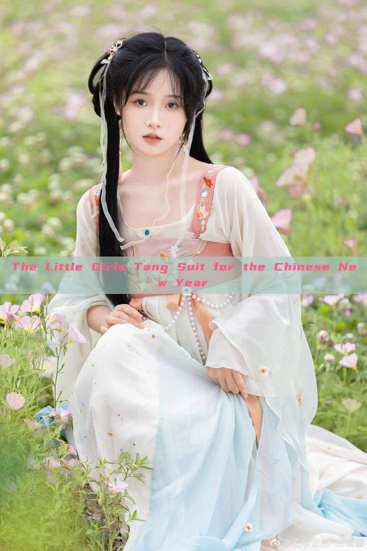 The Little Girls Tang Suit for the Chinese New Year The Little Girls Tang Suit for the Chinese New Year