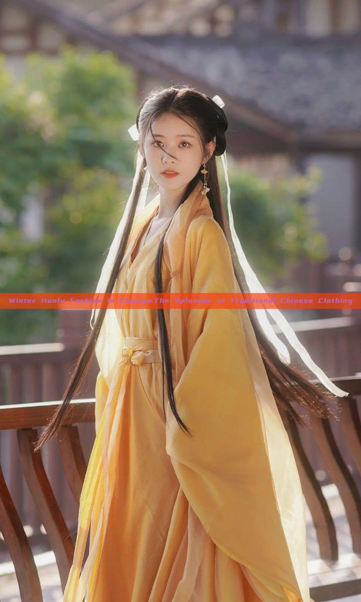 Winter Hanfu Fashion in Caoxian:The Splendor of Traditional Chinese Clothing