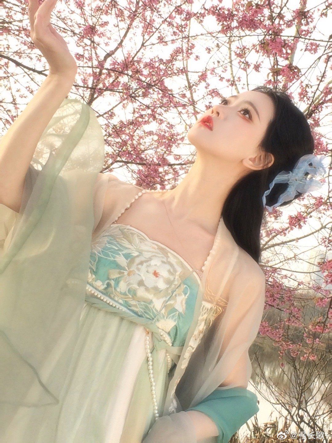 The Splendor of Zuo Liangyus Qipao:Embracing Traditional Elegance The Splendor of Zuo Liangyus Qipao:Embracing Traditional Elegance