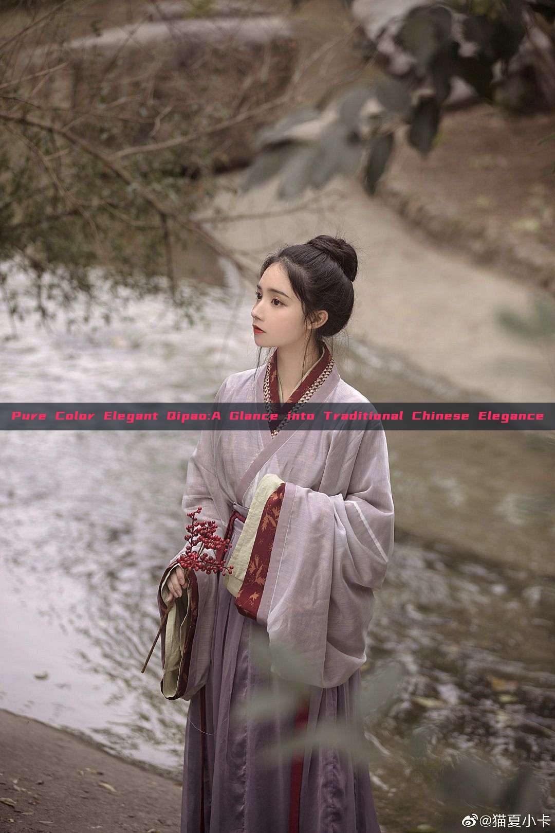 Pure Color Elegant Qipao:A Glance into Traditional Chinese Elegance Pure Color Elegant Qipao:A Glance into Traditional Chinese Elegance