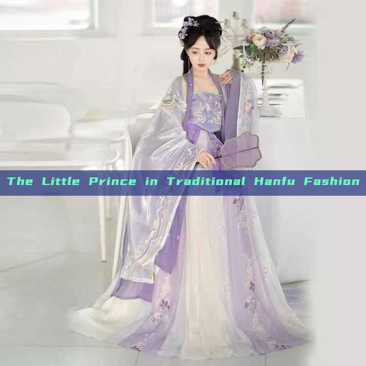 The Little Prince in Traditional Hanfu Fashion The Little Prince in Traditional Hanfu Fashion
