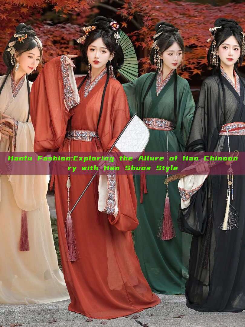 Hanfu Fashion:Exploring the Allure of Han Chinoonry with Han Shuos Style Hanfu Fashion:Exploring the Allure of Han Chinoonry with Han Shuos Style
