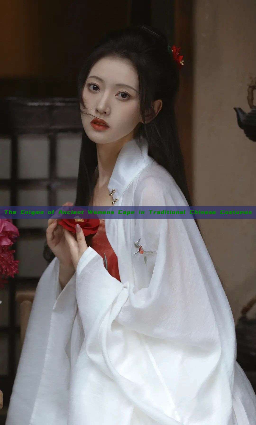 The Enigma of Ancient Womens Cape in Traditional Chinese Costumes The Enigma of Ancient Womens Cape in Traditional Chinese Costumes