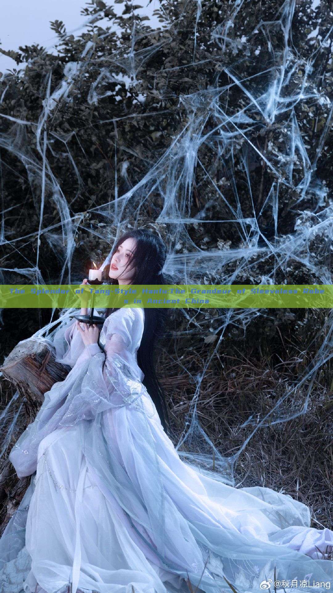 The Splendor of Tang-Style Hanfu:The Grandeur of Sleeveless Robes in Ancient China The Splendor of Tang-Style Hanfu:The Grandeur of Sleeveless Robes in Ancient China