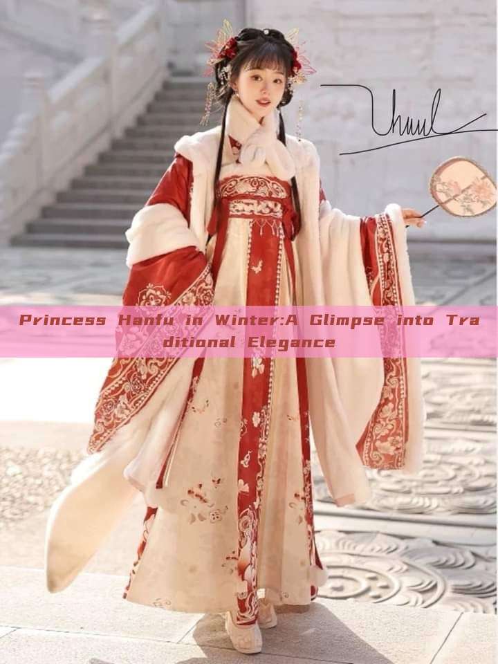 Princess Hanfu in Winter:A Glimpse into Traditional Elegance Princess Hanfu in Winter:A Glimpse into Traditional Elegance